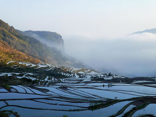 云南礦產(chǎn)資源費(fèi)及評(píng)估費(fèi)收取標(biāo)準(zhǔn)