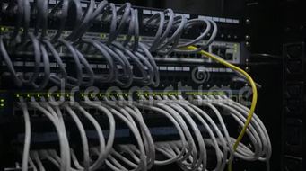 網絡工程 構建數字世界的橋梁